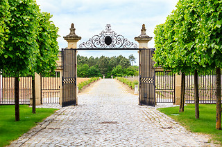 Visite & Dégustation en Champagne