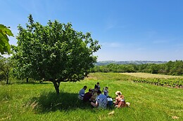 Domaine Du Beauregard