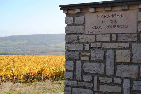 Domaine Du Beauregard - photo 2