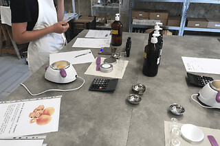 Atelier création d'un baume personnalisé à Lauzun (47)