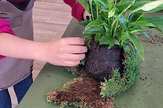 Atelier Kokedama à Nantes (44)