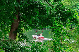 Location de bateau électrique (11 pers. max) à Bougival - Location Most 2 heures