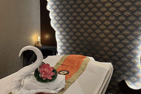 Massage crânien à Paris 15ème