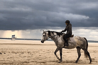 Balade à cheval campagne et plage près de Deauville (14)
