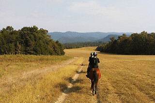 Balade à cheval campagne et plage près de Deauville (14)
