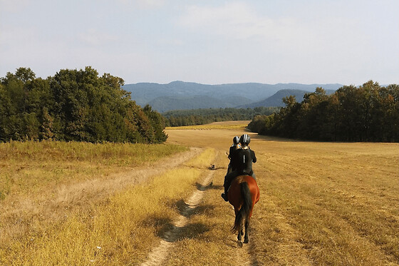 Balade à cheval campagne et plage près de Deauville (14)
