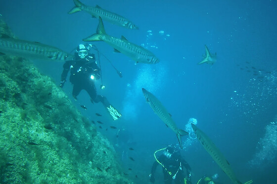 Baptême de plongée sous-marine sur la Côte Bleue