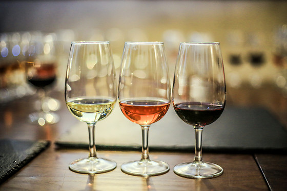 BODEGAS IGNACIO GUALLART DE VIALA - photo 3