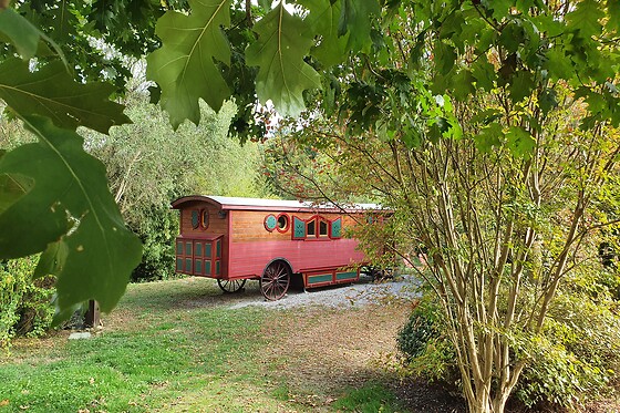 Au Coeur du Bois - photo 3