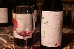 GV Sport Beaujolais