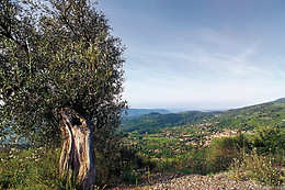 Le Paradou Mediterranée