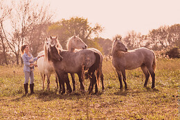 Lait de Jument de Camargue