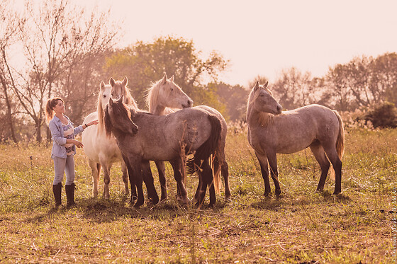 Lait de Jument de Camargue - photo 0