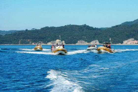 Anthia Diving Center - photo 0