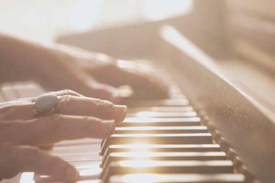 MONOECHO STUDIO - photo 0