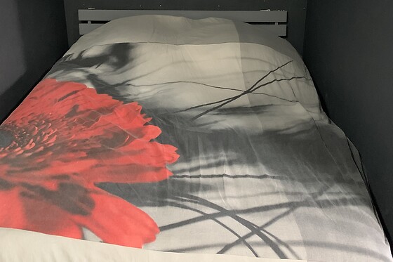 La Pâquerette - photo 14