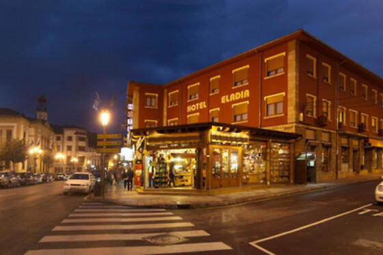 HOTEL ELADIA - photo 2