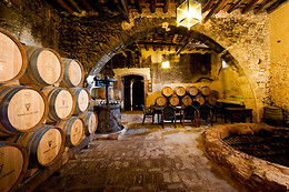 BODEGAS TORRE DEL VEGUER