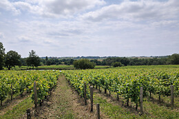 Domaine Baudon