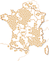 100% Émotions