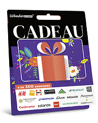 Carte Générique Illustration Cadeau