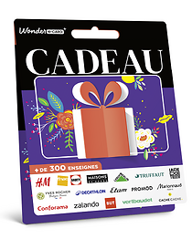 Carte Générique Illustration Cadeau