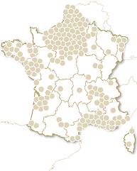 Happy Bonne Année