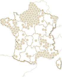Happy Bonne Année