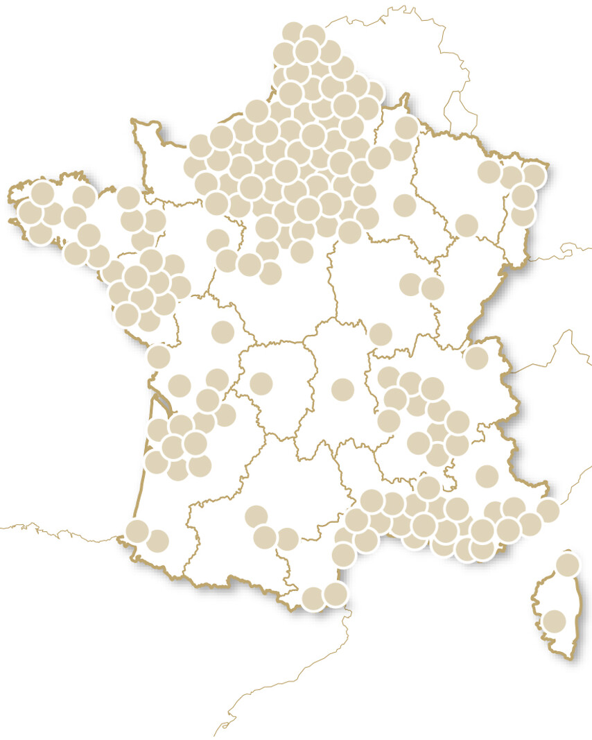 Happy Bonne Année