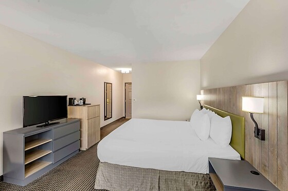 Online Booking EPS - photo 5