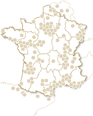 Ateliers d'œnologie