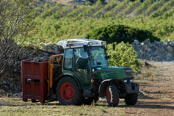 Domaine Virgile Joly / Chambre d'hôtes Mimosa - photo 9