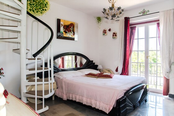 Alexander's Home - photo 1