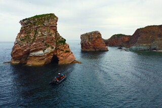 Balade en bateau et location de paddle - Oceanboat64 - Saint-Jean-de-Luz (64)