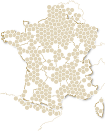 Joyeux Noël Émotion