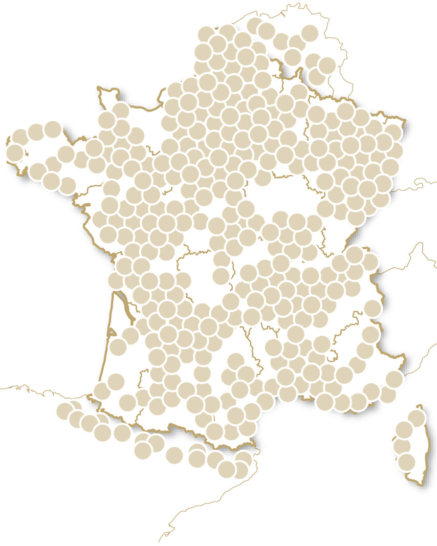 Joyeux Noël de Rêve