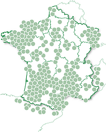 Châteaux et délices
