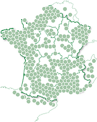 Week-end et délices en amoureux