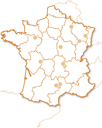 Saut à l'élastique