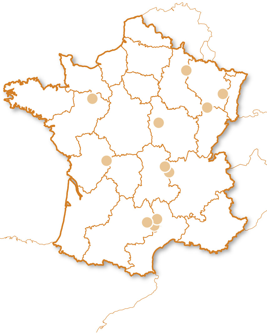 Saut à l'élastique
