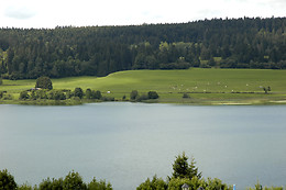 Restaurant A La Ferme