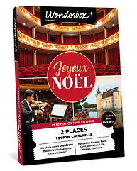 Joyeux Noël culturel - Sortie culturelle en duo