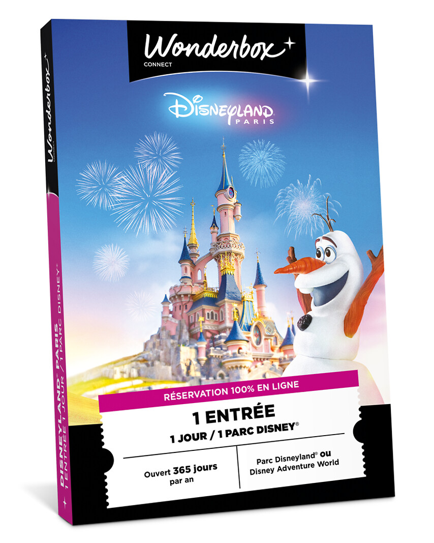 Disneyland Paris - Journée pour 1 personne (adulte)