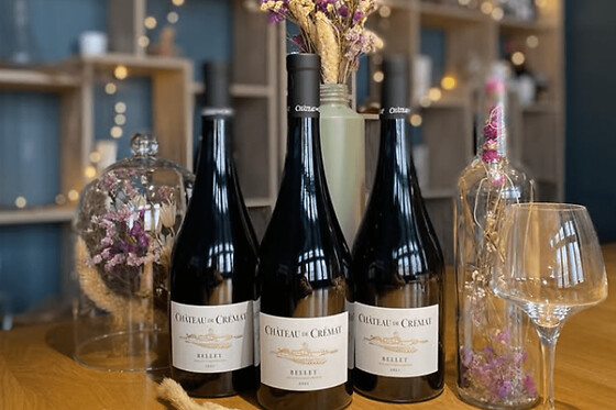 Dégustation de vins à Lyon 1er