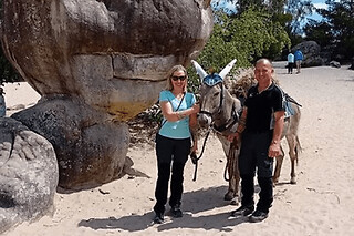 Randonnée pédestre avec un âne, forêt de Fontainebleau (77)