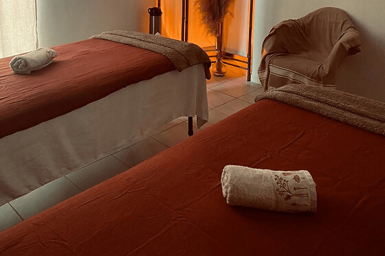 Massage du corps en duo à Montpellier (34)