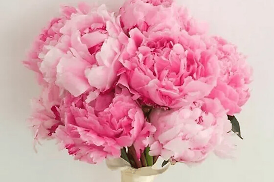 Atelier bouquet de fleurs fraiches à Jouy-en-Josas (78)