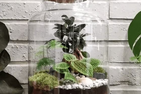 Atelier création d'un terrarium à Jouy-en-Josas (78)