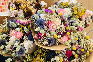 Atelier bouquet sec dans une ferme près de Lyon (69)