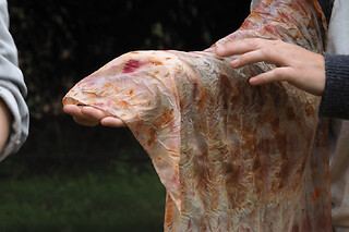 Atelier d'initiation à la teinture végétale à Montauban (82)